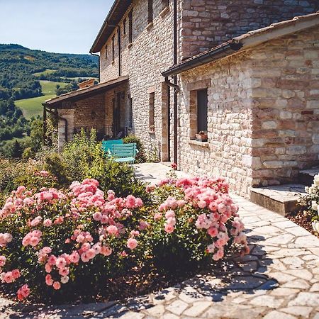 Agriturismo Casal San Sergio Fossombrone Kültér fotó